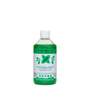 Shampoo Menta