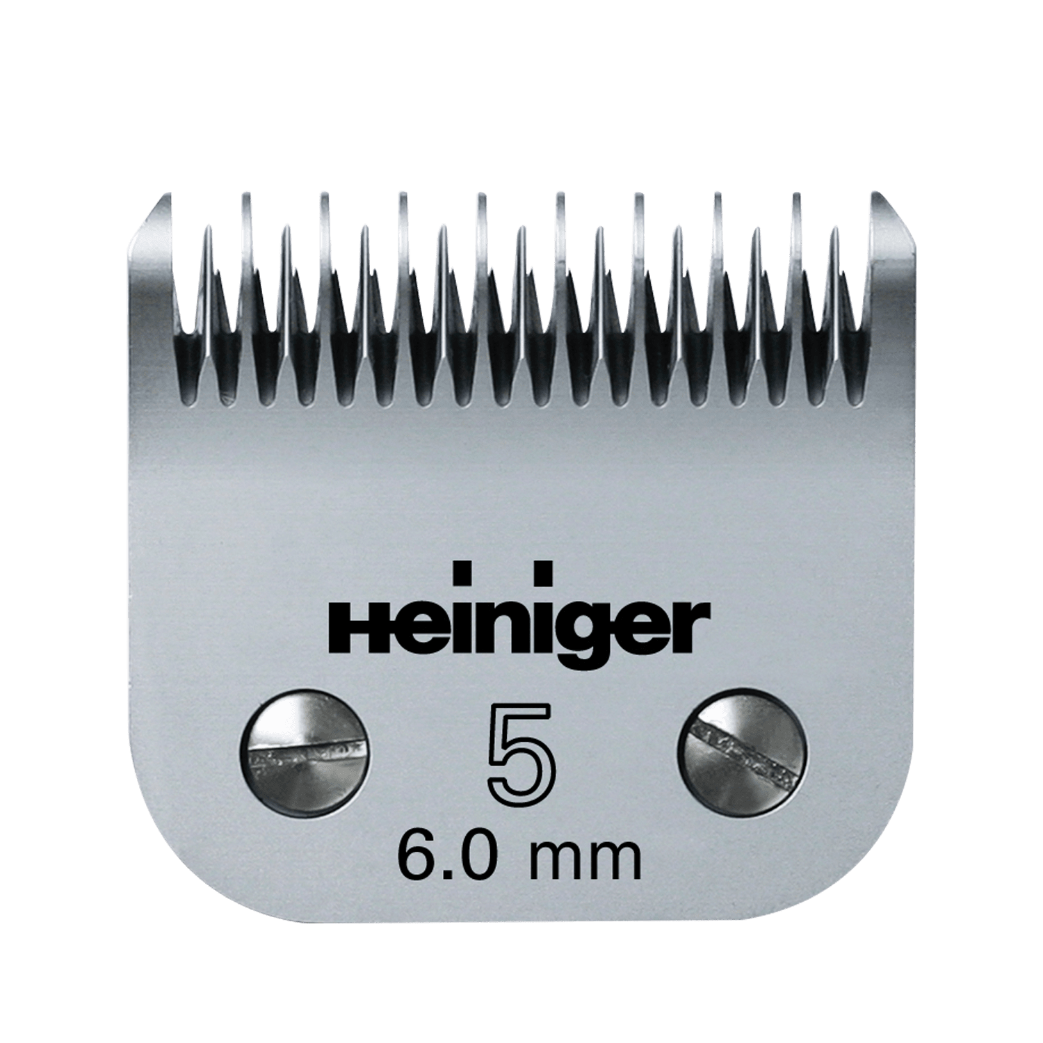 TESTINA HEINIGER 5