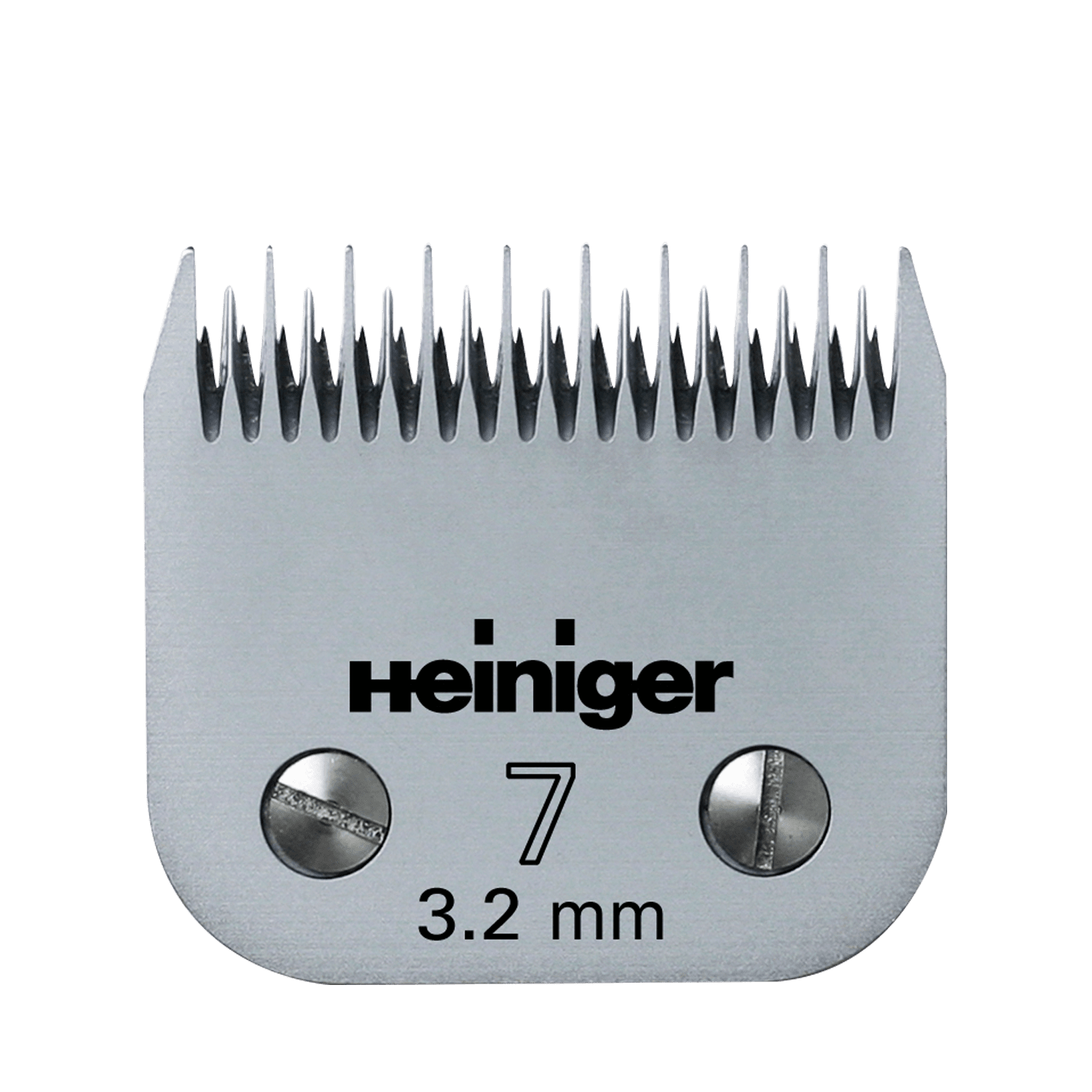 TESTINA HEINIGER 7