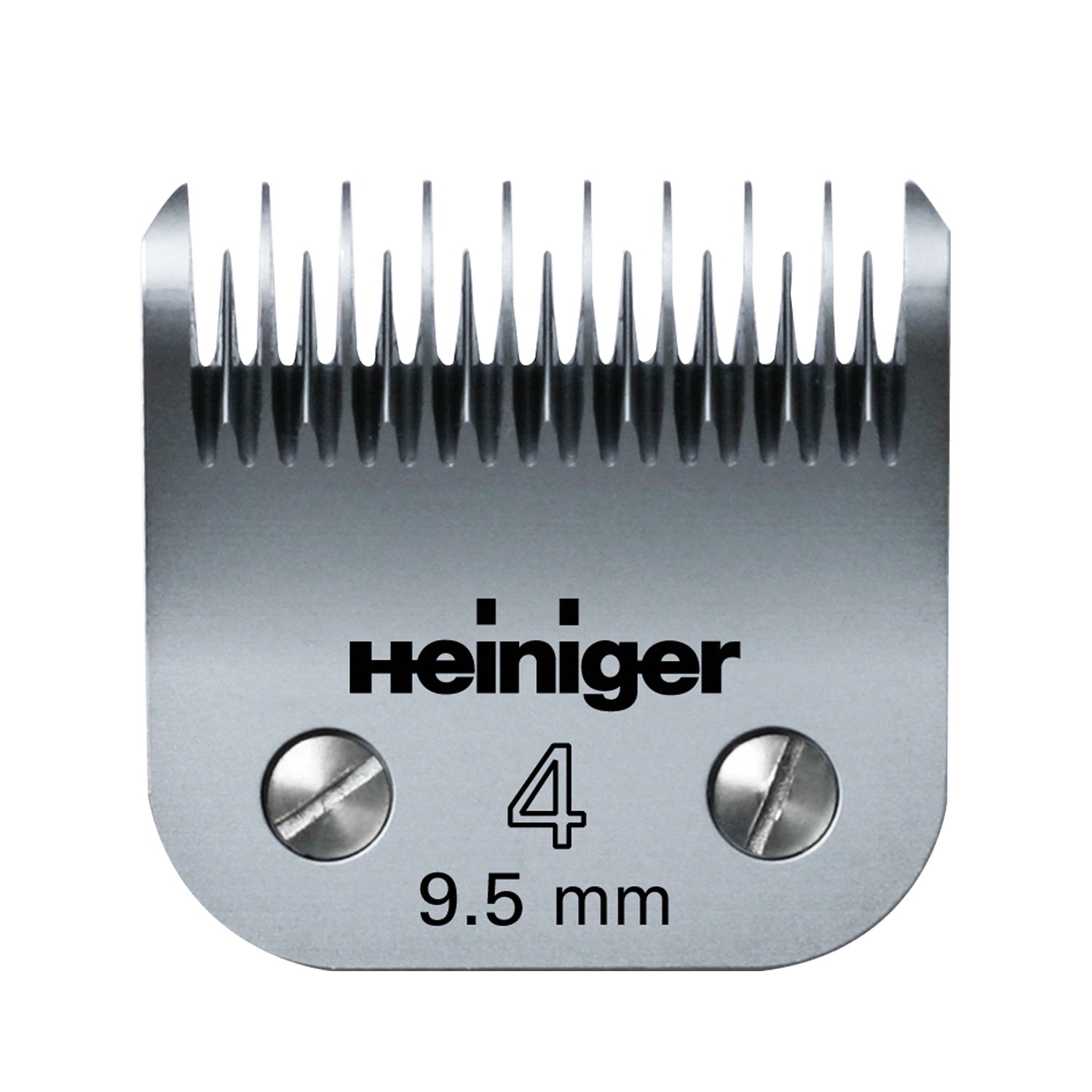 TESTINA HEINIGER 4